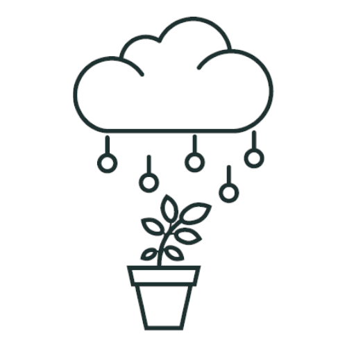 Plant watered by code nodes doodle